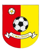 Logo TJ Malinovo