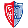 Logo Montevarchi